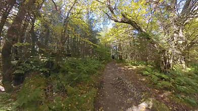 Autumn Settles over Man Backpacking in the Smokies