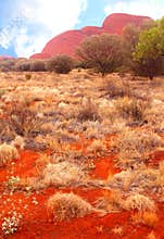 Surreal red Olgas mountains (Unesco), Uluru Kata Tjuta National Park, Australia