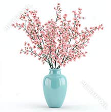 PNG transparent background with pink flower blossoming houseplant pot garden