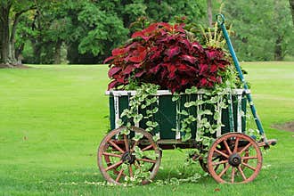 Colorful Garden Cart