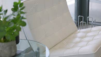 Selective focus on white armchair with leather upholstery without armrests standing by glass table with green plant in