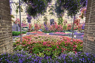 A variety of colorful flowers in an indoor garden.