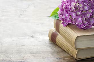 Old books with pink flowers and copy space
