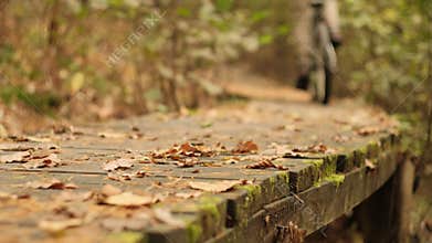 Bicycle riding on a wooden trail covered with autumn leaves in a forest. Mountain Rider Across a Wooden Bridge