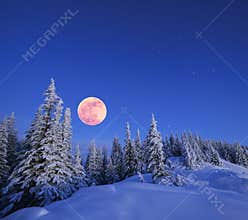 Full moon in winter