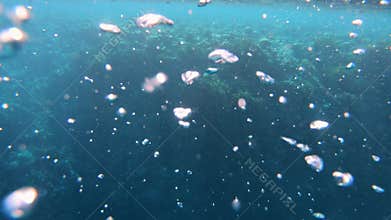 Air bubbles under water