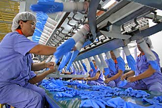 Female workers on the acrylonitrile butadiene gloves production