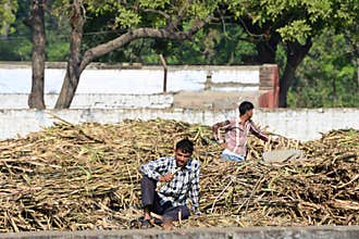 Indian village Men