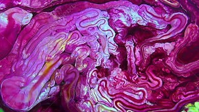 Slow Motion Macro Abstract Pattern Artistic Concept Color Surface Moving Surface Liquid Paint Splashing Art Design Texture