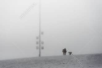 Skiers Tackling the Fog-Blanketed Slopes of Zugspitze
