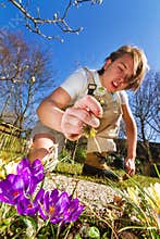 Weeding the spring garden