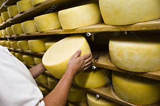 Man inspecting cheese