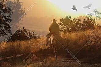 A cowboy riding a horse V.