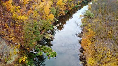 Autumn aerial look down on river in yellow forest