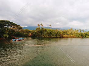 River, plants, trees, clouds, skies