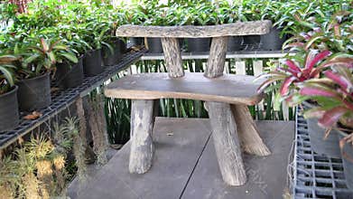 rose garden arrangement landscaping the front of the house.