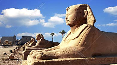 Luxor Temple and Avenue of Sphinxes