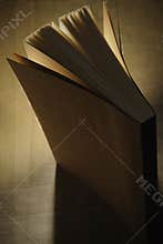 Book, vertical