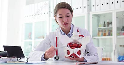 Medical professional explains anatomy of pelvic region with anatomical model