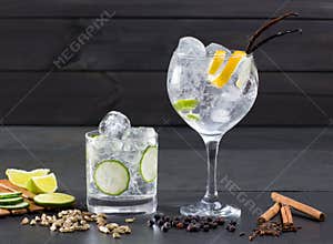 Gin tonic cocktail with lima cucumber vanilla cloves cardamom