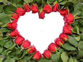 Heart made of red roses with stem