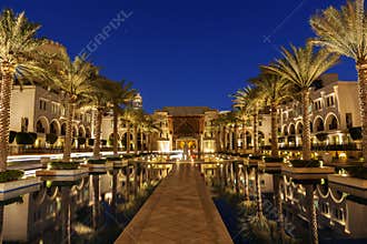 Palm trees dubai