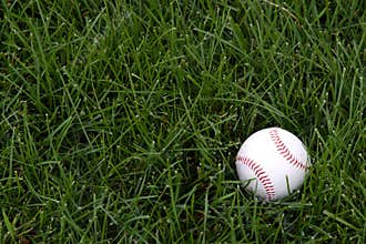 Baseball in the outfield