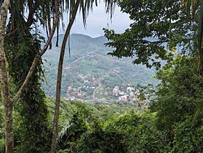 Tropical town in a natural setting