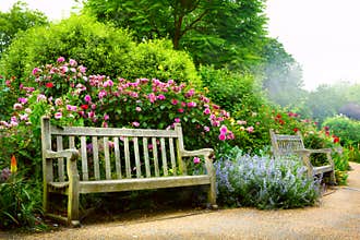 Art bench and flowers in the morning in an English park