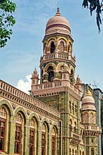 Vintage Old Indo Sarsenik Stone Stuccher of Anjuman