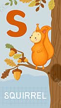 Letter S, animal ABC