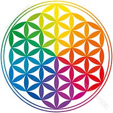 Flower Of Life Rainbow Colors