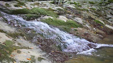 brook running on rock to mountain river in