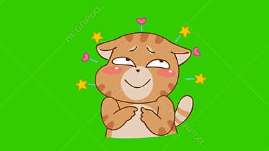 Animated Chubby Cat Blushing - Green Screen