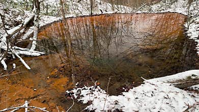 Beavers have built many small lakes in the mountains