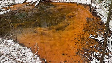 Beavers have built many small lakes in the mountains