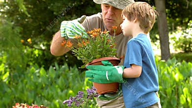 Man showing potted plant to grandson