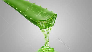 Aloe Vera Gel Pouring from Cut Leaf Natural Skincare Ingredient