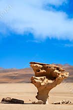 The Árbol de Piedra (Stone Tree) is a famous, tree-shaped volcanic rock formation in Bolivia