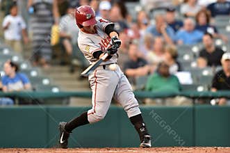 2014 MiLB - baseball batter