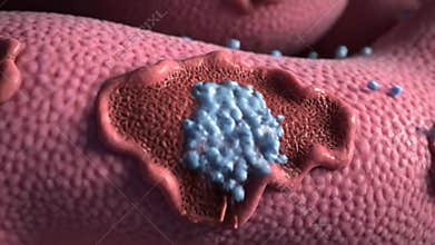Absorption Process Animation of Intestine Wall Cells with Blue Molecules