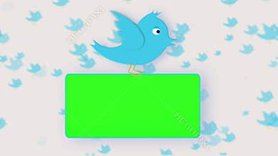 Chroma key screens holding by a bird