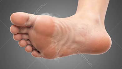Close-Up of Human Foot Sole on Gray Gradient Background: Medical Examination, Podiatry and Foot Health Awareness, Foot