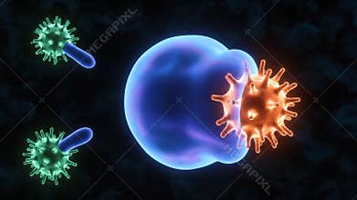 Animated Macrophage engulfing Virus cell in a Dark Background in Medical Animation