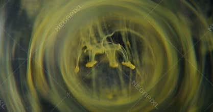 Dye blot blur vapor whirl lens ink drop trickle