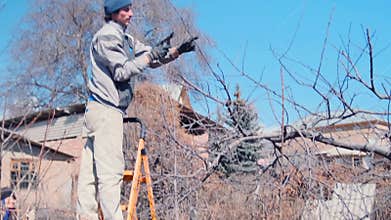 Tree expert climbing, Skilled tree specialist working from elevated ladder platform, Certified tree care professional precisely