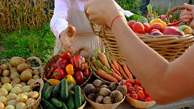 Farmers market with vegetables. Selective focus.