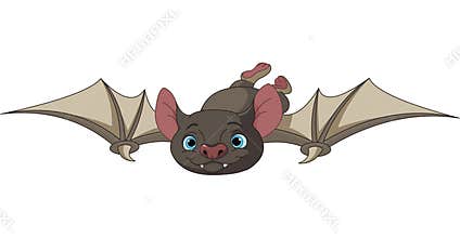 Halloween bat in flight