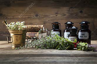The ancient natural medicine, herbs and medicines