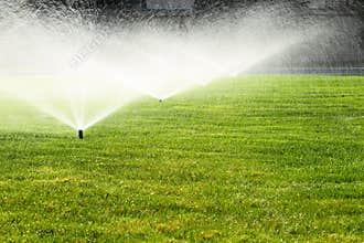 Garden sprinkler on the green lawn